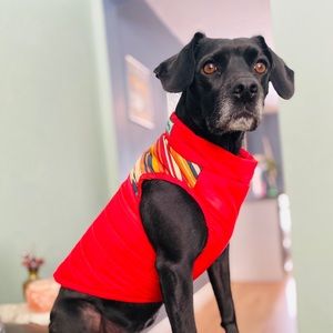 Meet your Posher, Beth